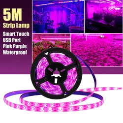 5M LED Grow Light Strip Full-Spectrum 5V LED Phyto Lamps For Plants Greenhouse Hydroponic Planting Flower Seeds Phyto Lamp Strip