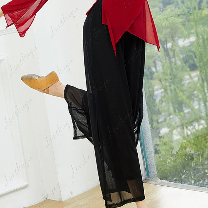 Classical Style Double-layer Chiffon Wide-leg Dance Pants Chinese Modern Sub-ethnic Elegant Basic Practice Trousers