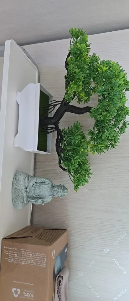 A customer's photo of the flowering bonsai they received