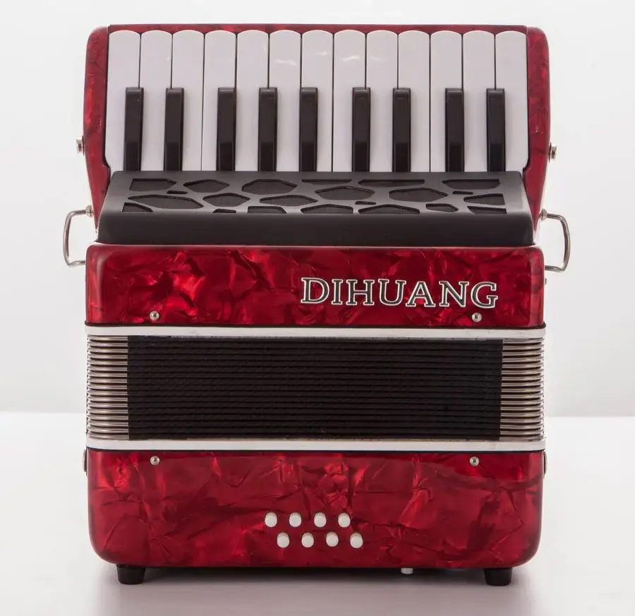 8 Bass Accordion Instrument for Sale Beginner Learning Practice Musical Diatonic Accordion for Kids Students