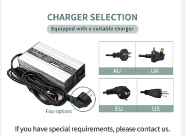 

All models of chargers