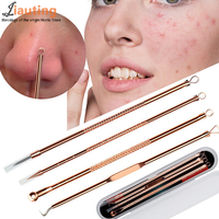 4pcs/set Stainless Steel Facial Pore Cleaner Extractor Face Skin Care Tools Blackhead Comedone Pimple Acne Remover Needles