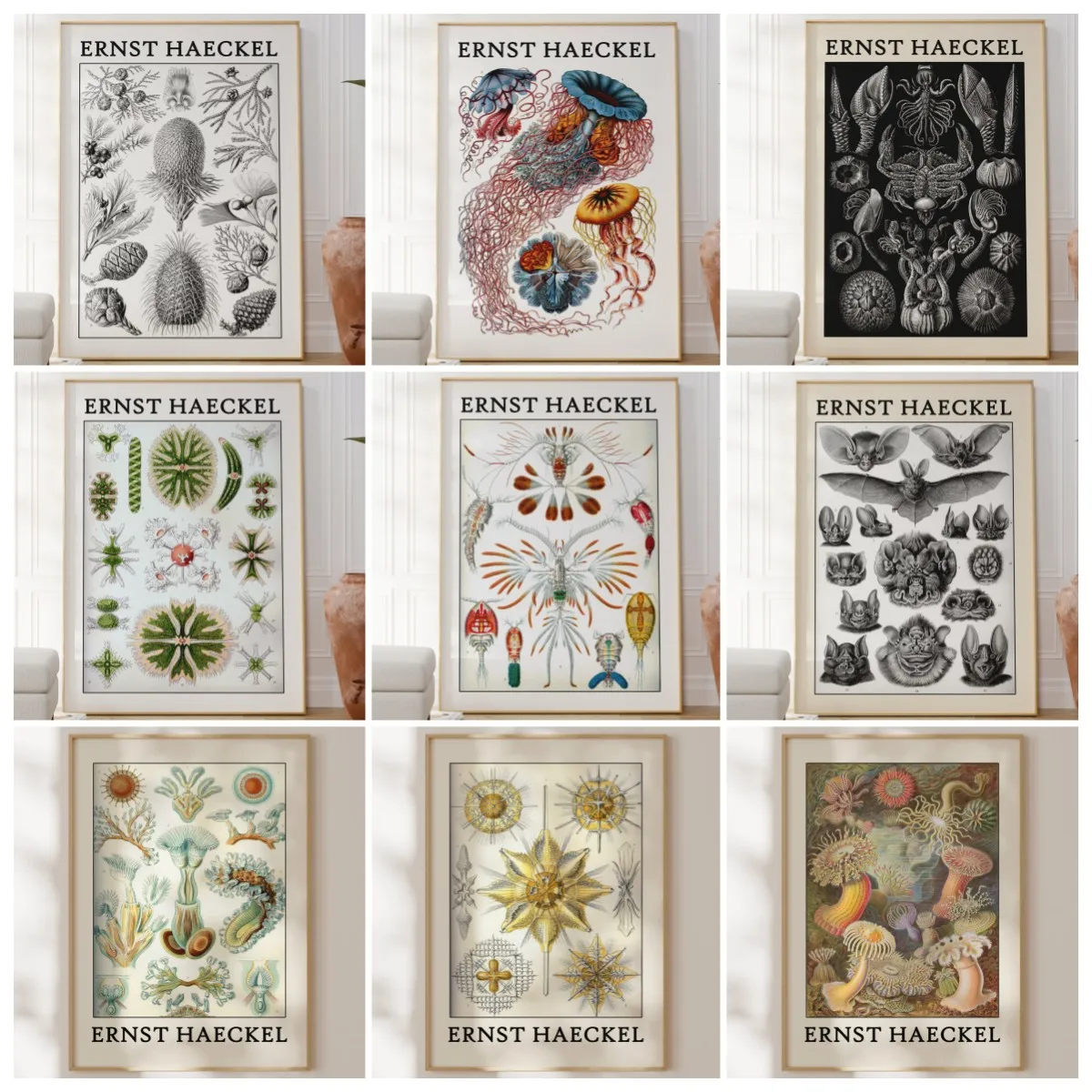 Haeckel Poster Fascinating Sea Life Poster As Haeckel Wall Art - Sea Animal Prints for Your Home or As A Gift Home Decor Posters