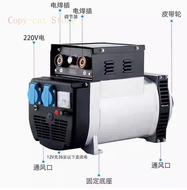 2000W 5500kw DC12V 8.3A Synchronous Portable Generator AC Generator for Generator Components