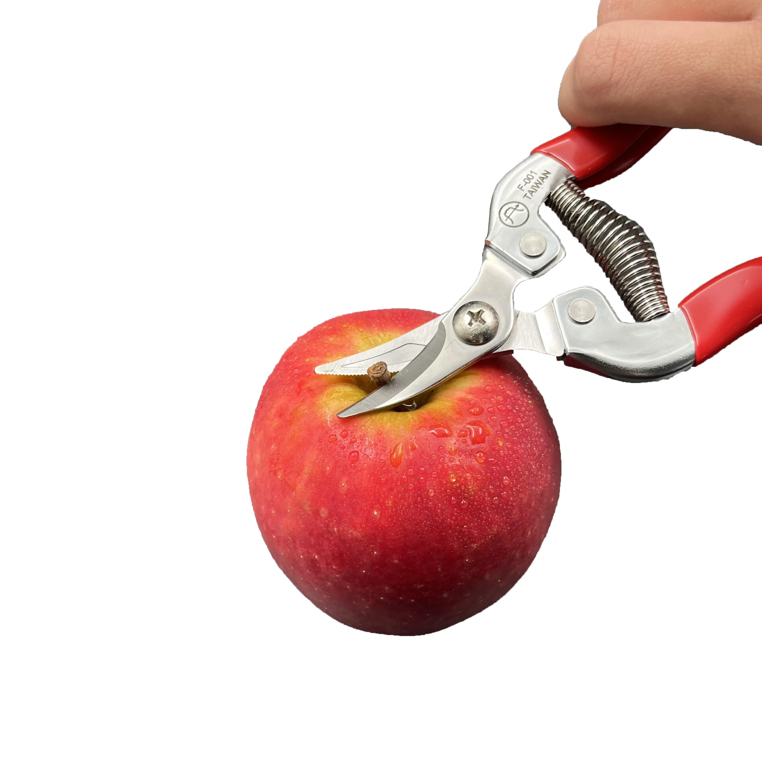 Multifunctional Industrial Grade Hard Chrome Plated Stainless Steel Long Handle Soft Grip Plastic Fruit Picking Scissors