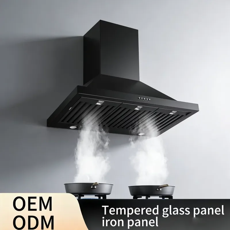 Stainless Steel Wall Mounted Range Hood 21m3/min Airflow Electric Kitchen Exhaust Fan High Quality OEM Design for Household