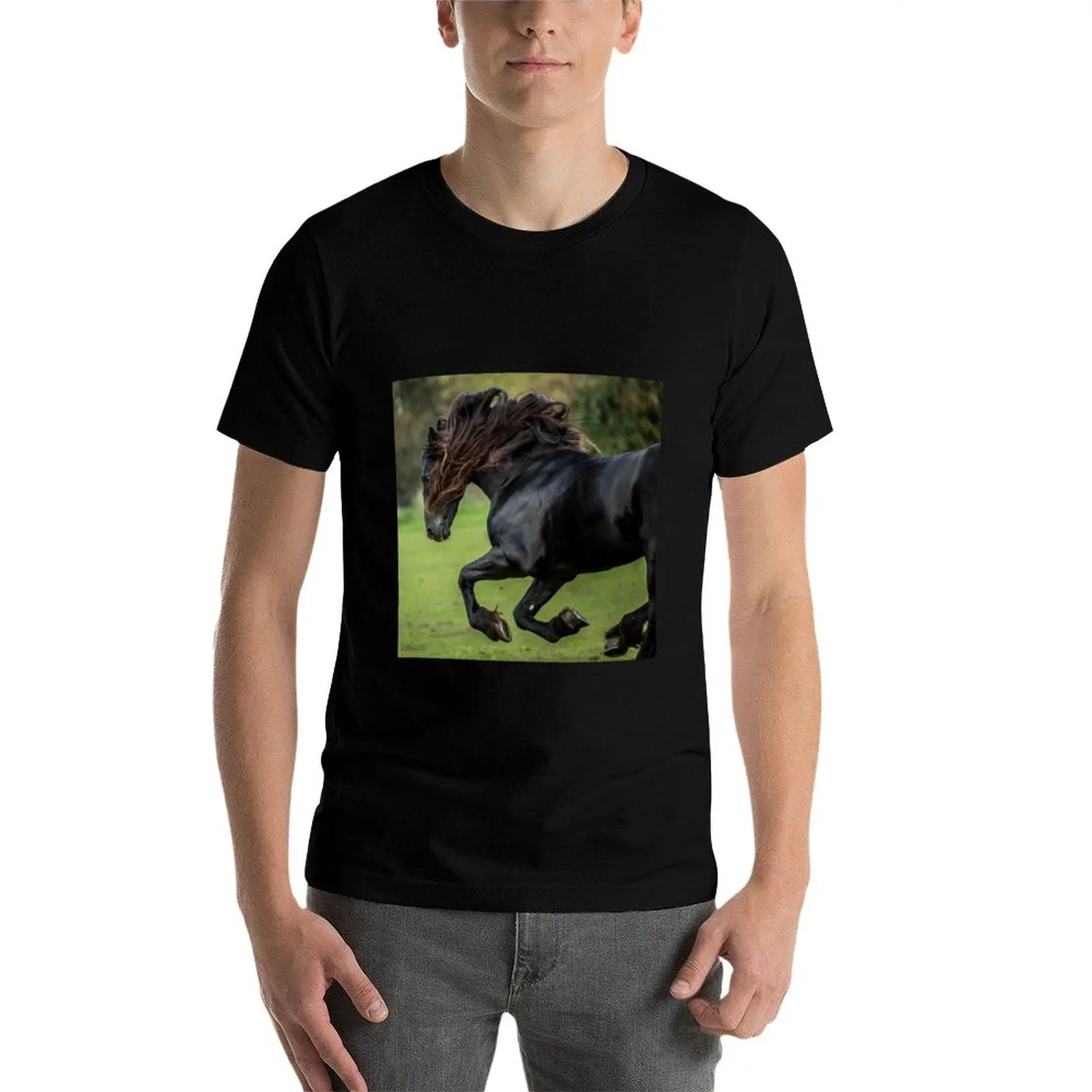 

The Friesian Experience - Beautiful Black Beauty Friesian Horses T-Shirt man t shirts for men casual T-Shirt