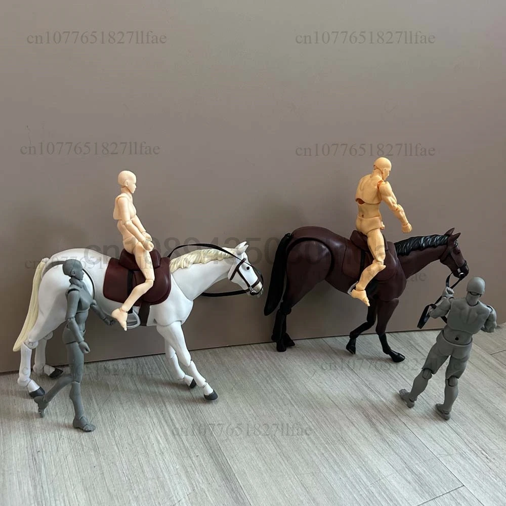 Artist Art Painting Figure Sketch Draw Male Female Movable Body Horse For Figma 246a 246b Action Figure Model Doll Desk Decor