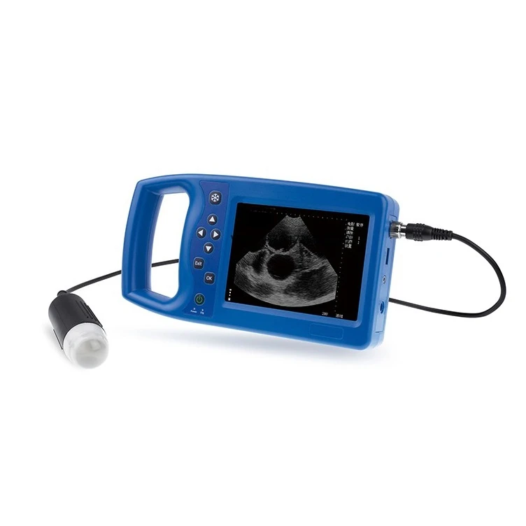 Veterinary Ultrasound Scanner Medical Equipment Portable Full Digital Sheep Canine Dog Pig Ultrasound Machine