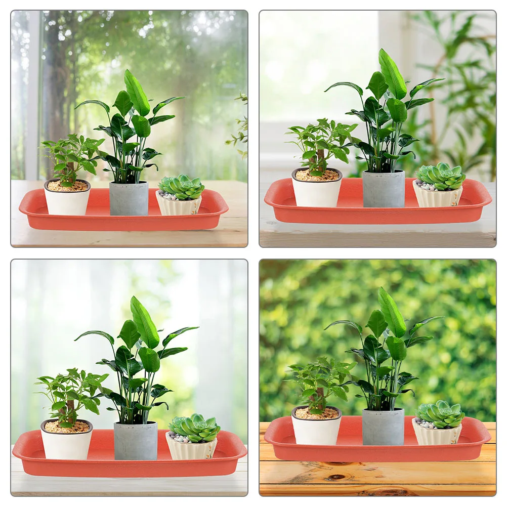 

3 Pcs Rectangular Plant Saucer Tray Waterproof Bonsai Flower Pot Base Drip Catcher for Plants Trays Gardening Accessories
