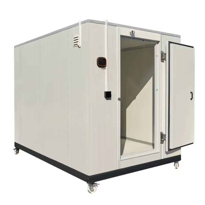Mini Walk in Cold Storage Room Freezer for Fruit and Vegetable Fresh Keeping Cooler