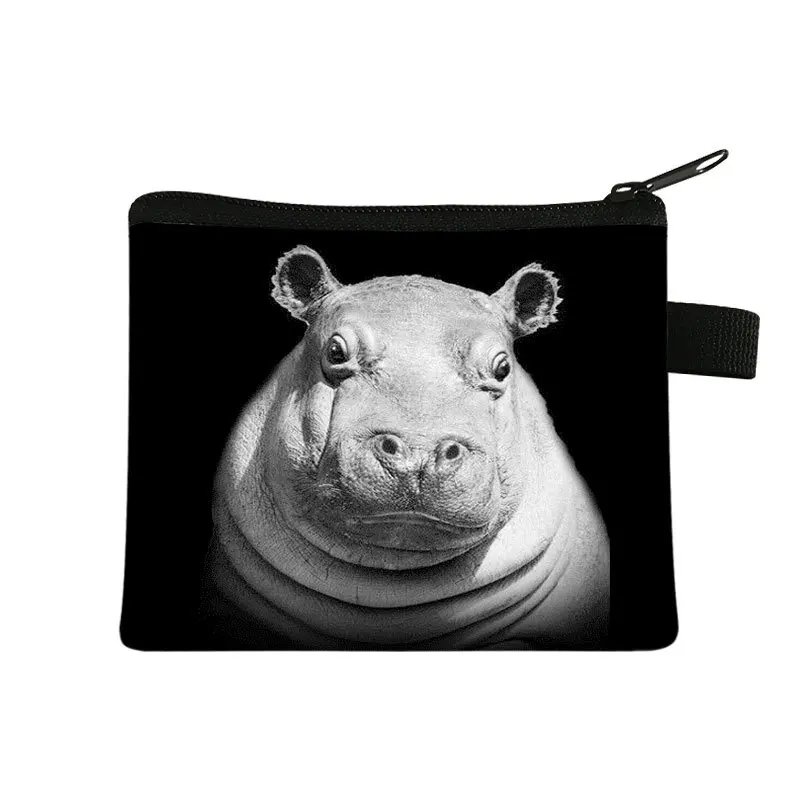 Dompet Kartu Pendek Wanita dan Pria, Tas Tangan, Tas Kunci dengan Resleting, Tas Koin, Dompet Wanita, Dompet Pria, Dompet Lipat, Dompet Zero