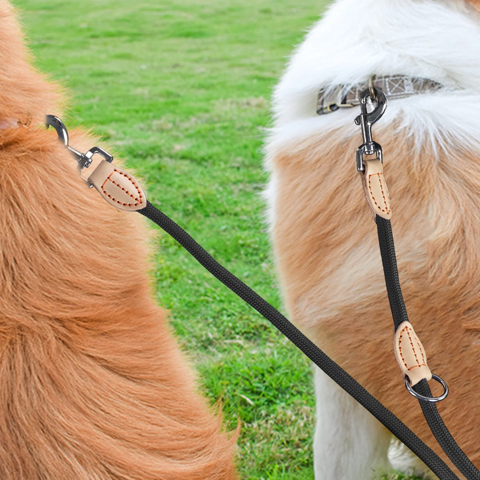 Multifunktionale Doppelleine für Hunde Mittelgroß Verstellbar und Luxuriöse Freihandleine aus Nylon für Kleine Hunde Leinen für 2 Hunde – Detail 5