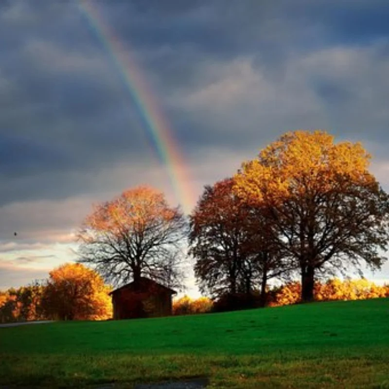 

Luggage Rack Lamp Spotlight Carrier Roof Light Headlights For RC Model Climbing Car DIY Accessories Upgrade Parts