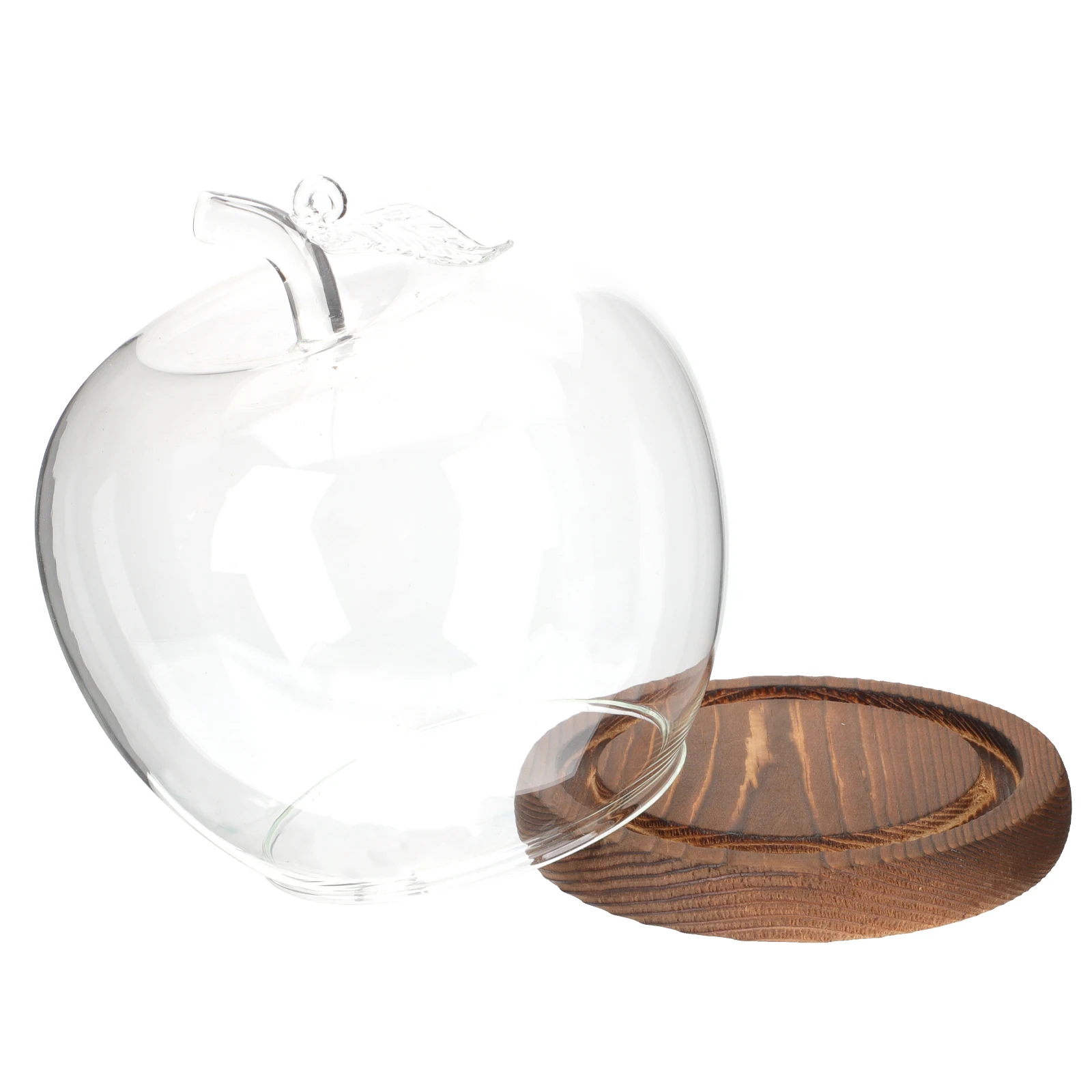 

Apple Glass Cover Clear Protector for Flower Crafts Flat Wood Base Desktop Decor Dustproof Flower Craft Desktop Decor Storage