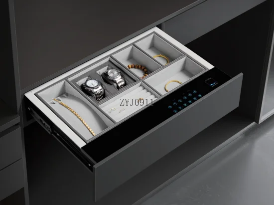 خزانة ملابس ذات أدراج ذكية آمنة لبصمات الأصابع الكهربائية بتصميم مخفي للمنزل الحديث