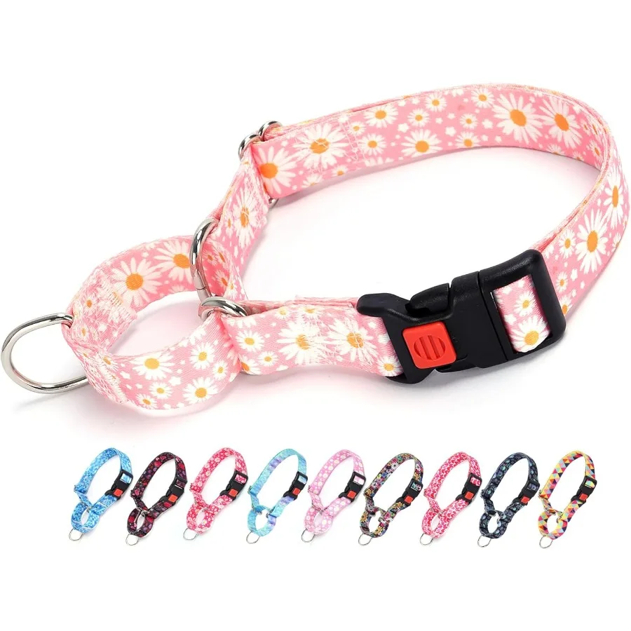 Martingale Collar F…