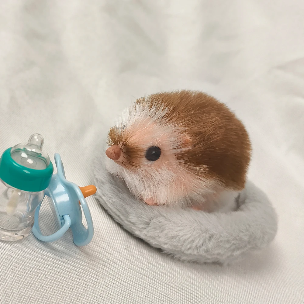 5 Inch Silicone Piglet Soft Cute Mini Realistic Animals with Accessories Lifelike Reborn Newborn Pig Doll Decompression Toy Gift