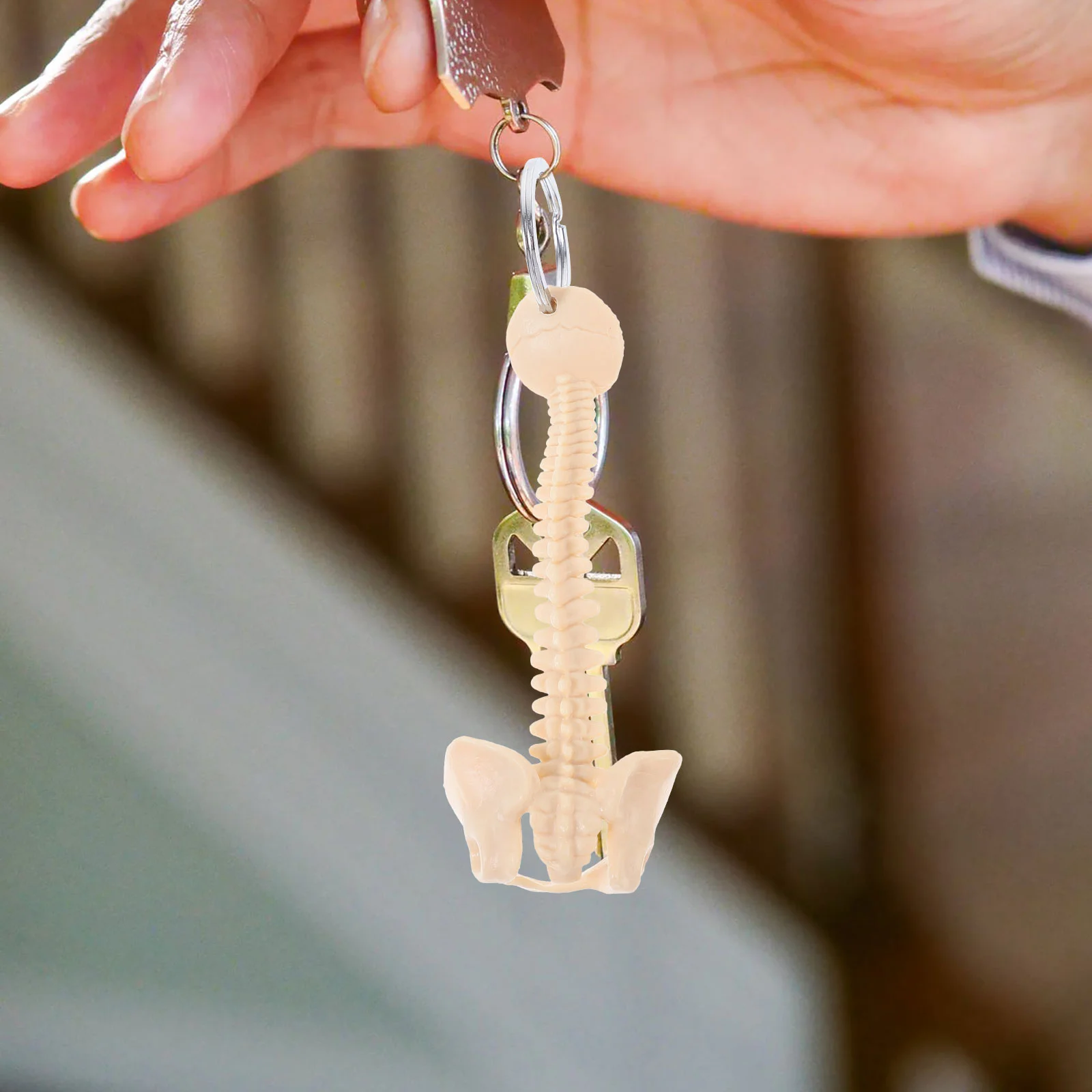 Human Spine Model Key Ring Teaching Aid Body Car Ornament Pvc Keyring Child Keychain