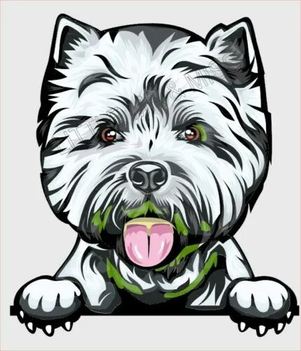 For WEST HIGHLAND WHITE TERRIER (WESTIE) Dog Breed Color Sticker w/proof