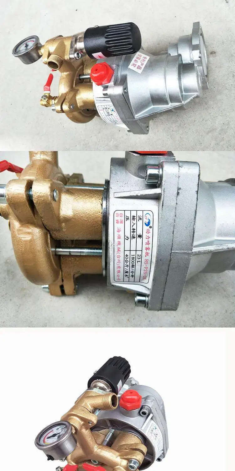 168 170 oil engine integrated P25 direct connection pump head agricultural high pressure spray garden