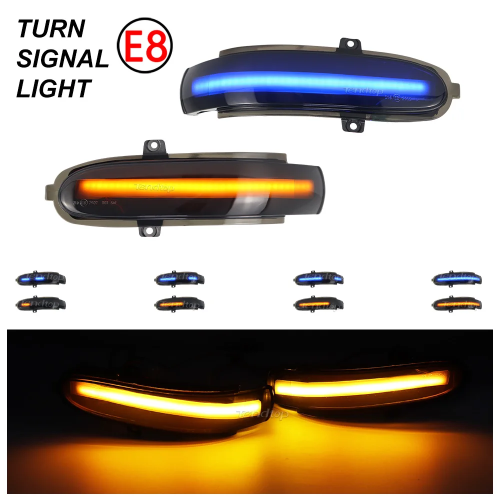 2Pcs Dynamic Indicator Blinker For Mercedes Benz C Class W203  S203 CL203 2000-2007 LED Turn Signal Side Mirror Light