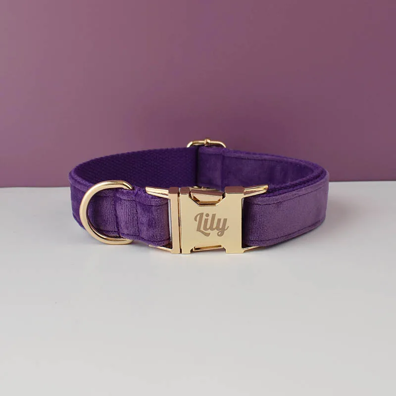 Set collare e guinzaglio per cani in velluto viola per cani di taglia piccola e media targhetta incisa personalizzata forniture per animali