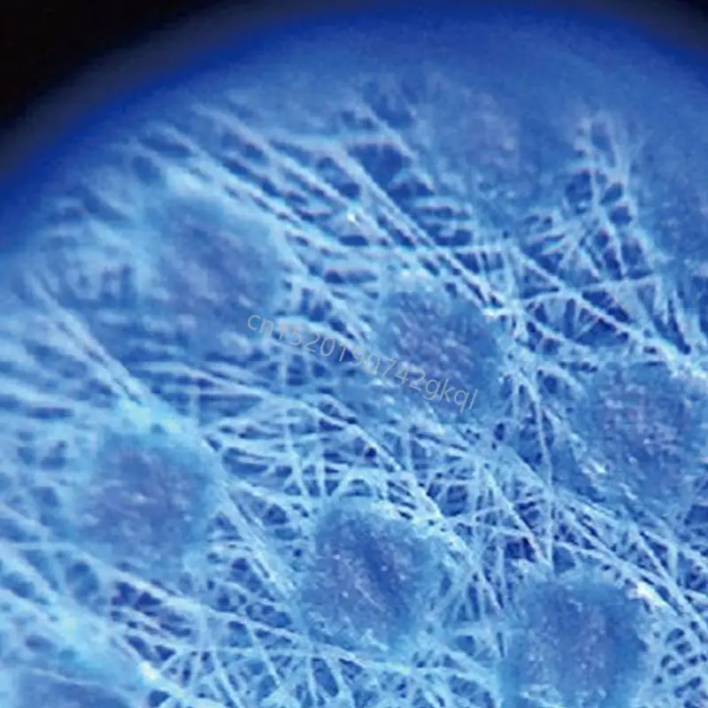 نوع القلم المجهر Mini Machifier Professional 100x جيب المجهر المحمول T4MC