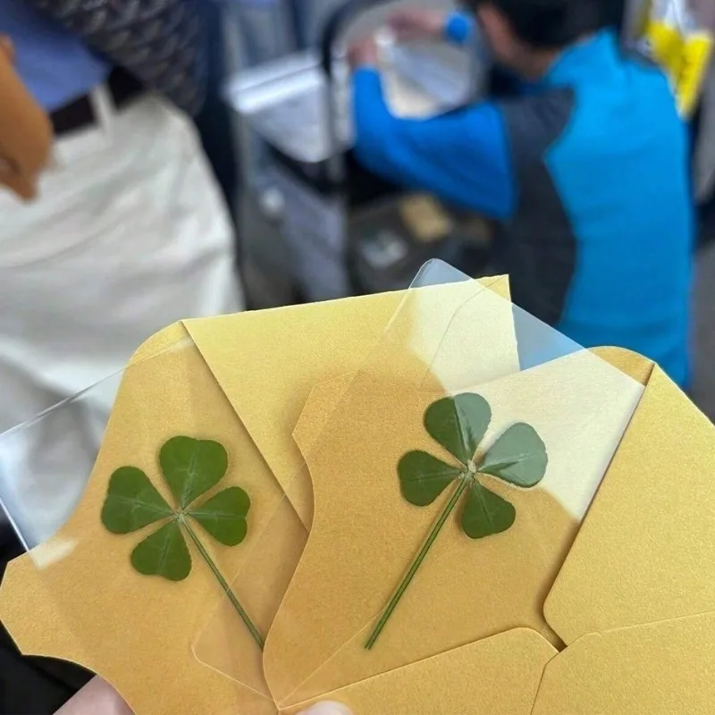 5PCS/10pcs Funny Transparent Card Bookmarks Four-Leaf Clover Bookmarker Transparent Wishing Card XKSQ01