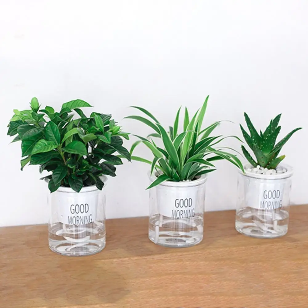 2-комплекта-гидропонного-цветочного-горшка-для-домашних-животных-двухъярусного-автоматического-самополивающегося-горшка-пластикового-цветочного-горшка-для-растений-epipremnum-aureum-garden