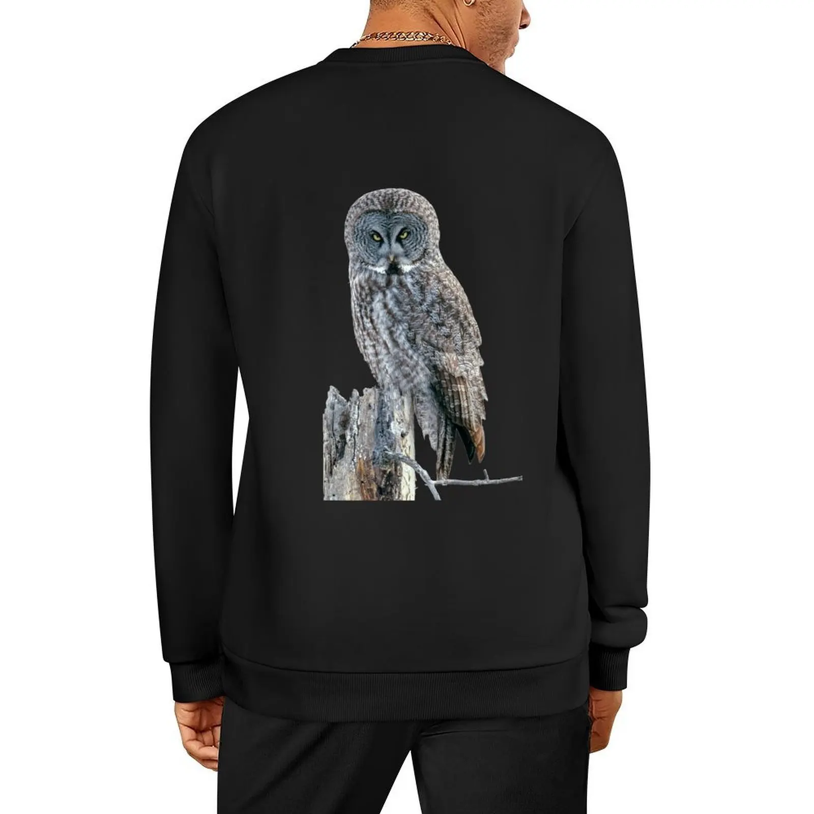 

Great Gray Owl Stink Eye Pullover aesthetic clothing korean autumn clothes korean clothes autumn new products autumn sweatshirt