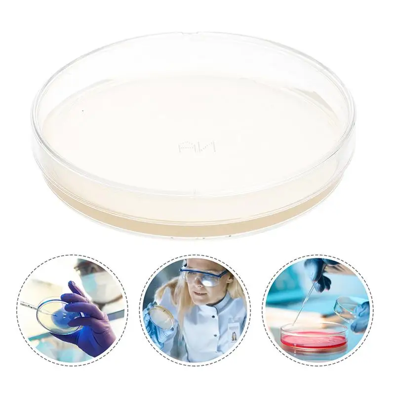 Imagem -04 - Prepainted Agar Placas Petri Pratos Cultura Tissue Plate Laboratório Science Experiment Suprimentos 10 Pcs