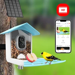 Câmera alimentadora inteligente do pássaro com painel solar, câmera de observação do pássaro, captura automática, gravar fotos, vigilância ao ar livre sem fio