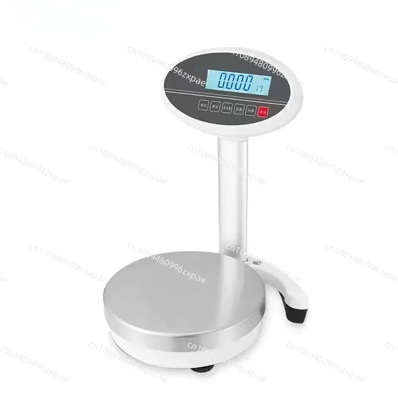 Electronic Weighing Balance Car Scale for Paint Mixing