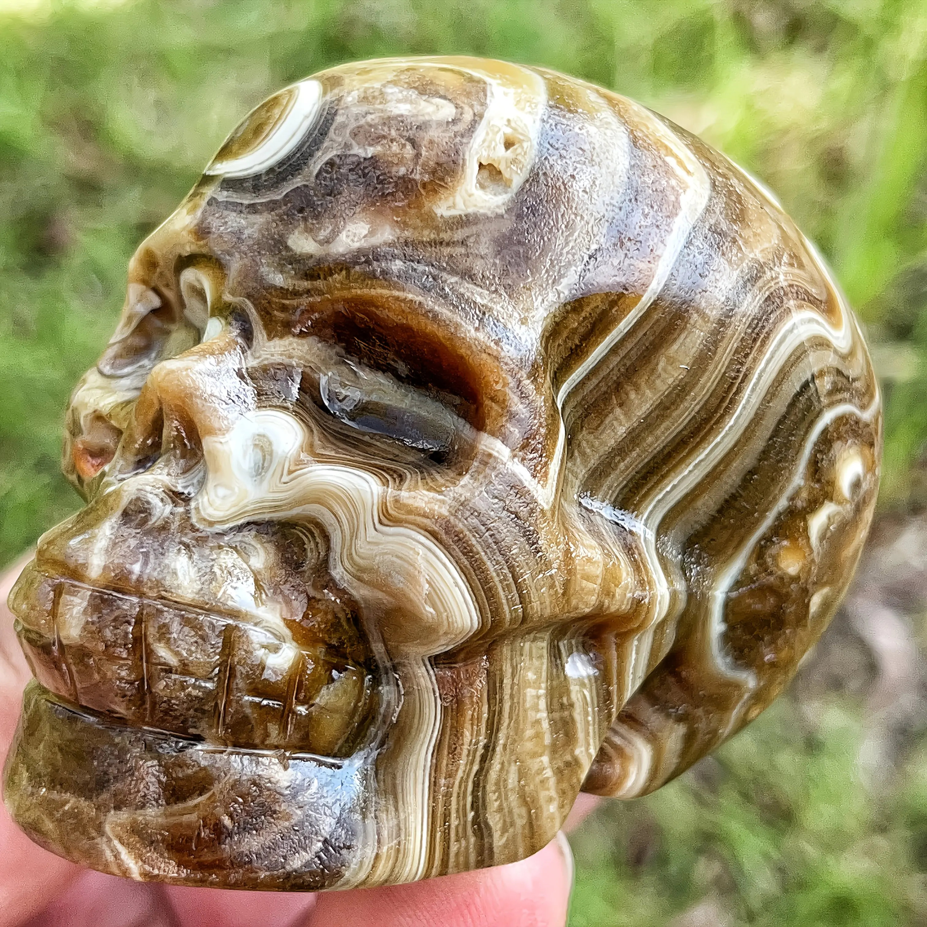 1pc Natural Chocolate Calcite Skull - Realistic 3D Carved Decoration with Amber Bands, Large 7cm/2.75in Gothic Home