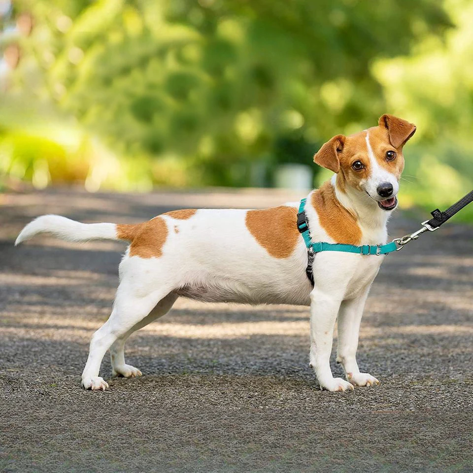 Adjustable No Pull Dog Harness Vest Easy Walking Quick Release Leash Training for Large Medium Dogs