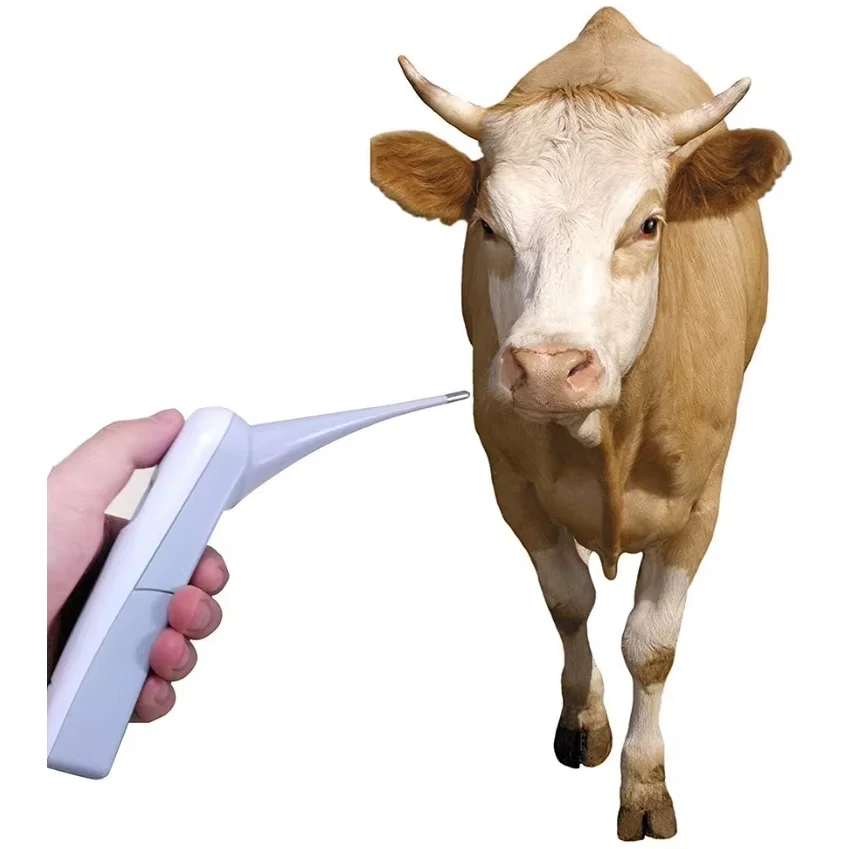 Yongyue Veterinary Fast Rectal Thermometer  Animal Pet Electronic Digital Thermometer for Dogs Horse Cats Pigs Sheep