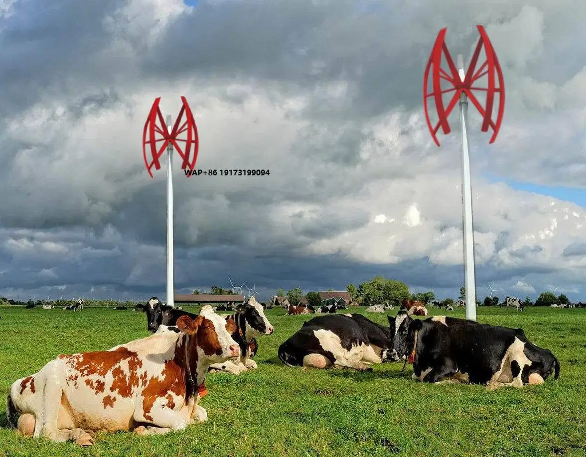 CE Complete 10kw 20KW 50KW Eolic Energy Generator 2KW 1KW Small Wind Energy System 3KW 5KW Vertical Wind Turbine for Home