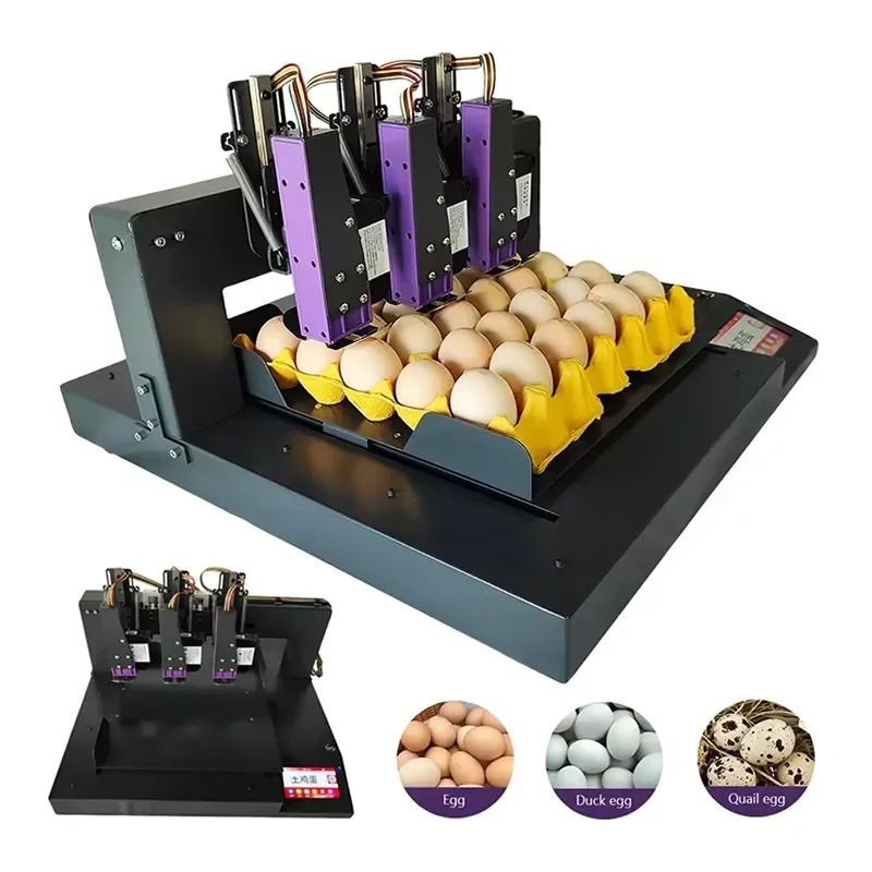 Precise Egg Logo Printer Multi Head Automatic Marking Machine 600DPI High Res Coding for Eggshells Trays Carton Boxes Europe