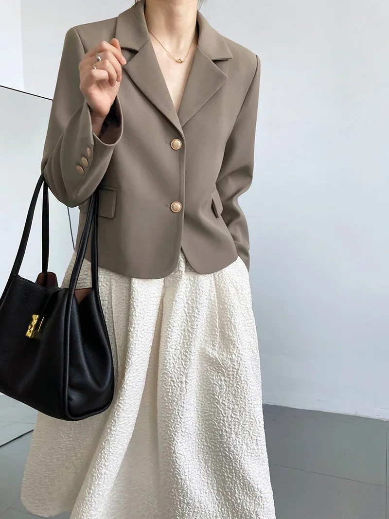 2024 Lente Dames Koreaanse Stijl Korte Pak Blazer Dames Lange Mouw Formele Jas Office Lady Werkkleding Cropped Jassen Kleding