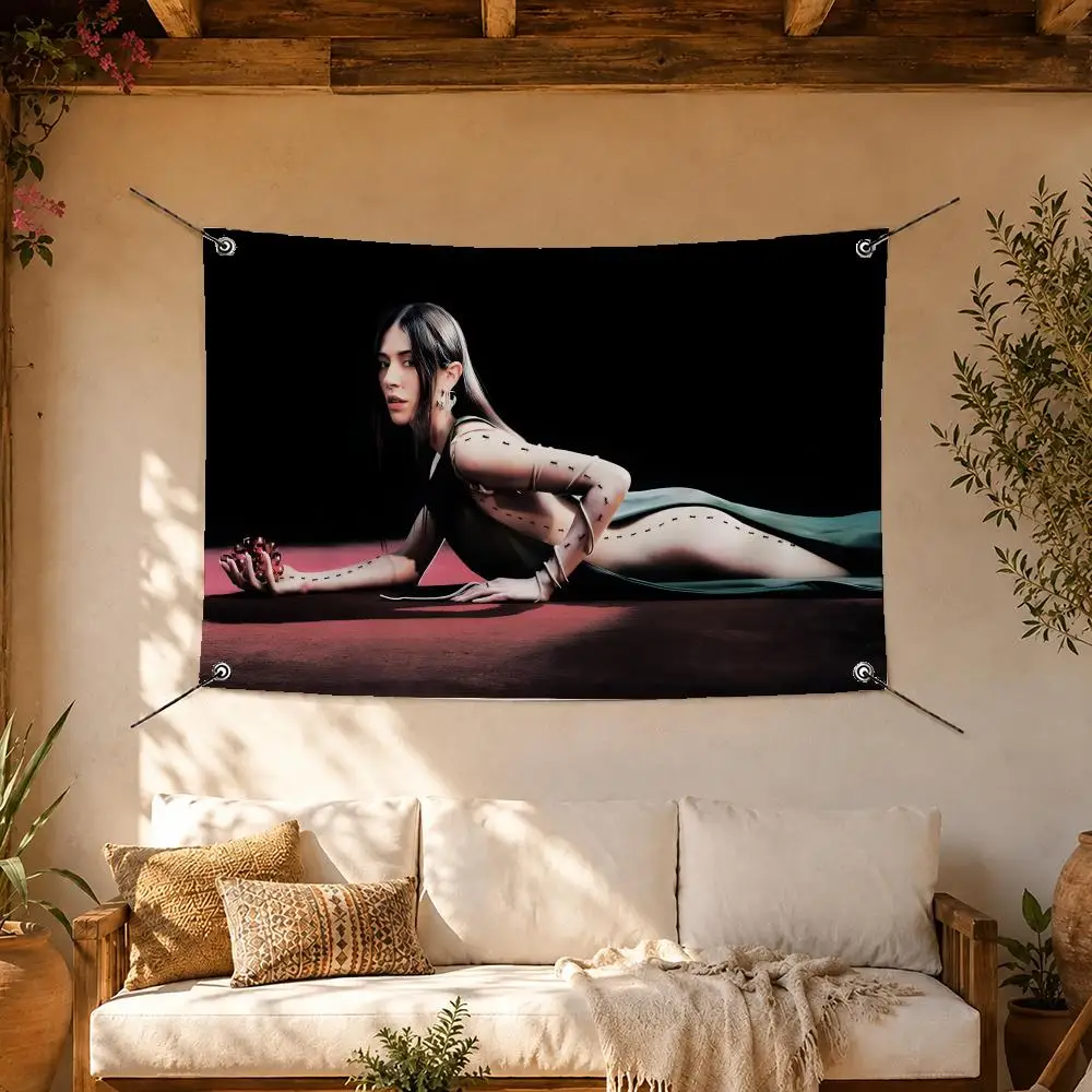Pop Star Caroline Polachek Flags Room Home Decor Wall‑Hanging Art Banner, Outdoor for Bedroom Party Background Decoration