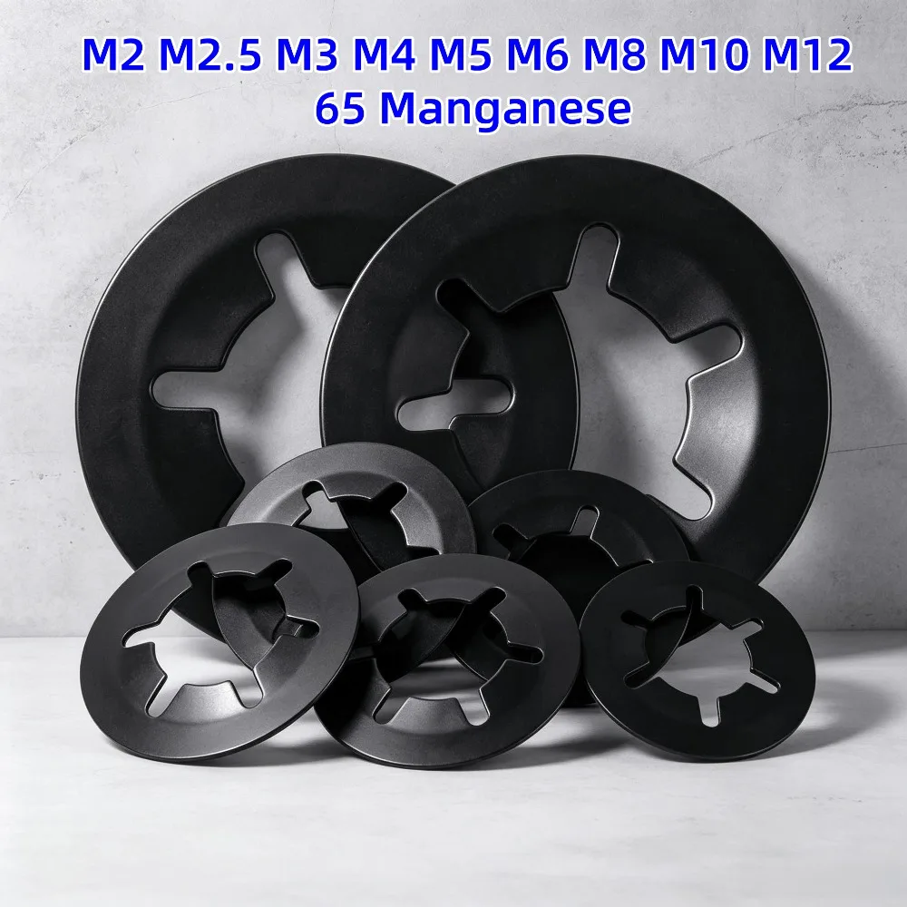 65Mn Push On Speed Locking Washers Assortment Kit, M2 to M12 Size Lock Washers, Quick Snap Speed Clips Industrial Fastener Set