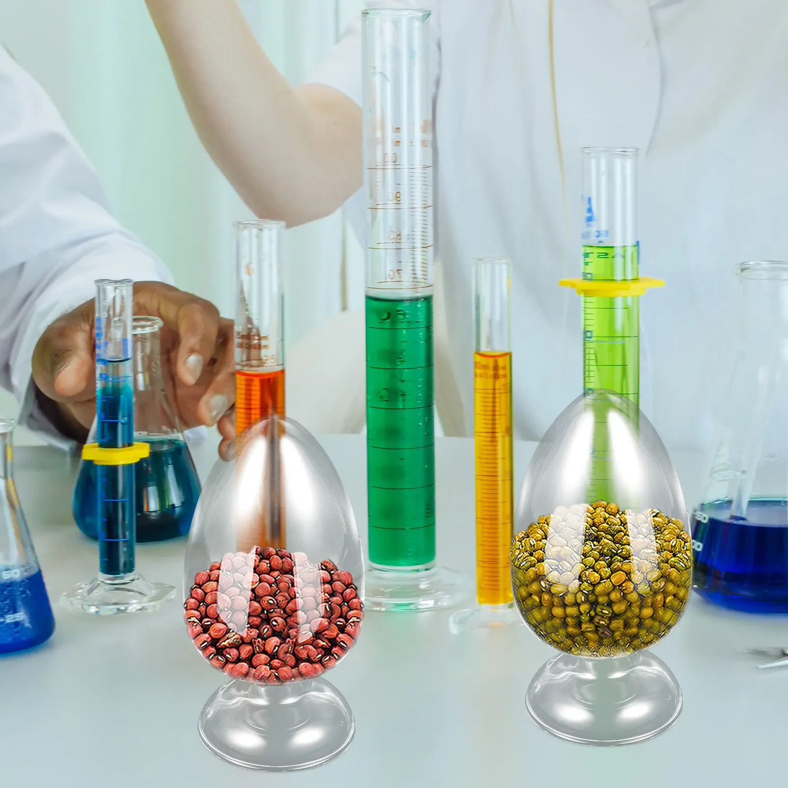 Glass Laboratory Flask Bottles for Science Experiments, Reagent Storage & Specimen Display