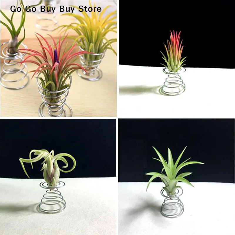 【ST】6 Pcs Flower Pot Stainless Steel Air Plant Stand Container Tillandsia Holder Tabletop Plant Display Rack Vase