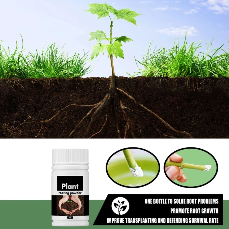 Rapid Rooting Powder Fast Rooting Powder for Extra Fast Root Plant Flower Transplant Fertilizer Plant Grow Improve Survi