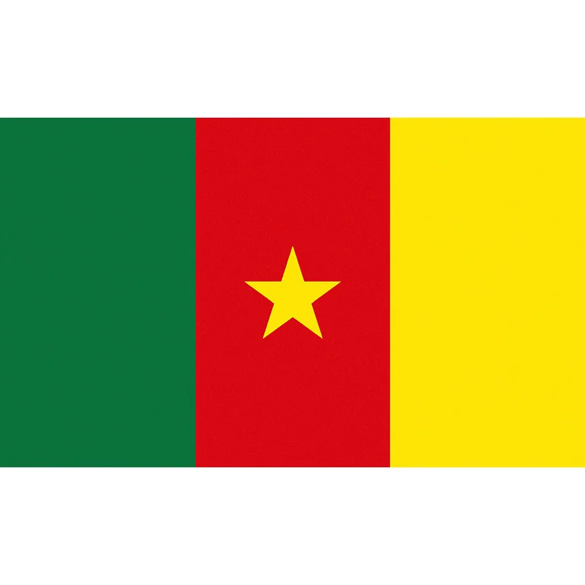 FLAGO 90X150cm  wholesale Cameroon  Banner National Flag for Decoration