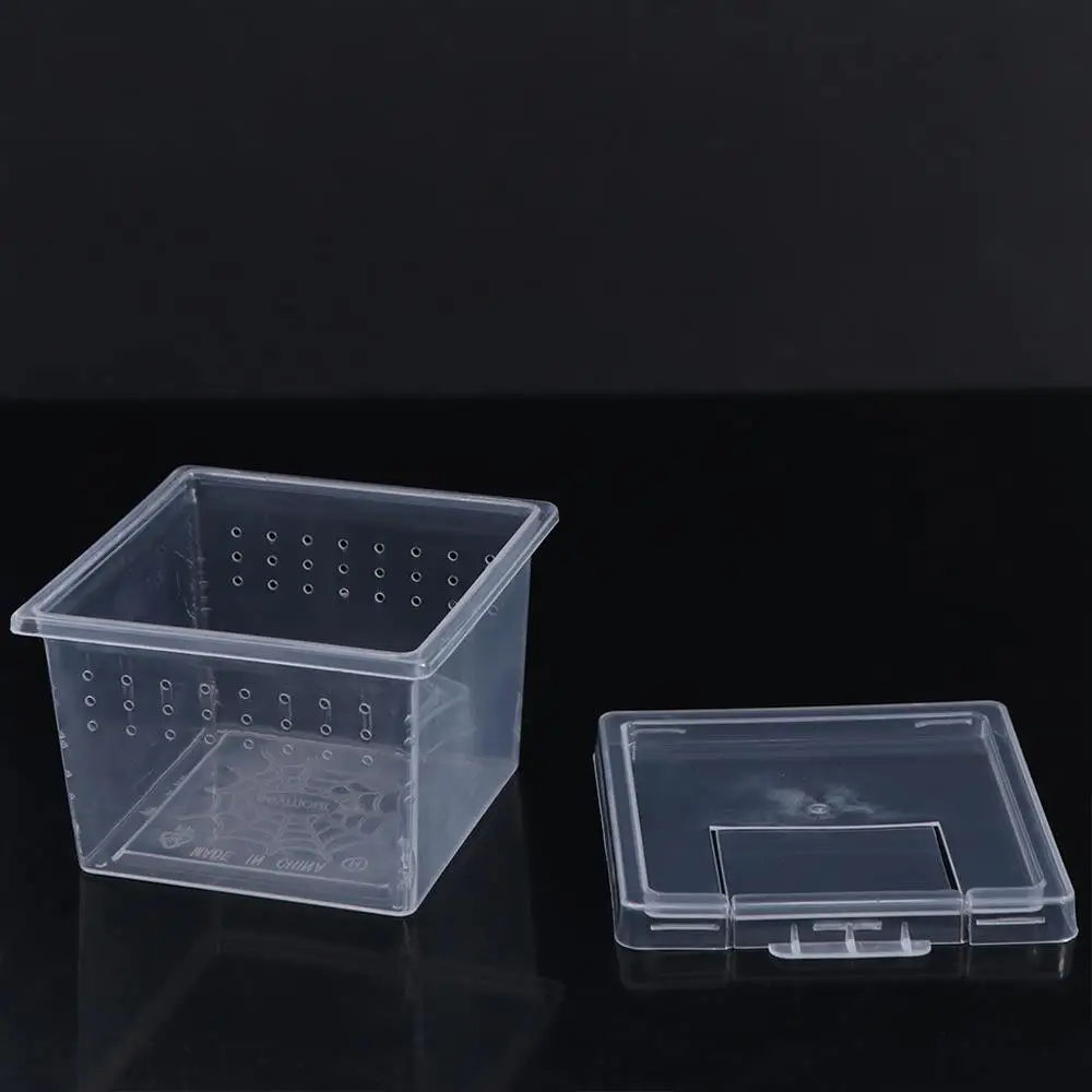 Transparent Reptile Accessories Plastic Hatching Tank Insect Feeding Box Lizard Living Box Reptile Habitat