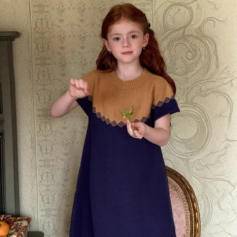 

Color Blocking Short Sleeved Sweater Dress 2025 Spring and Autumn Fashion Vintage Simple All-match Temperament Casual Dress