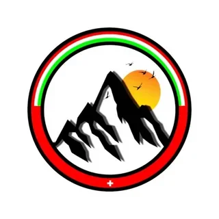 Custom Trio Color Retro Racing Stripes Vinyl Decals for 4RUNNER Tacoma Tundra Off Road Car Stickers