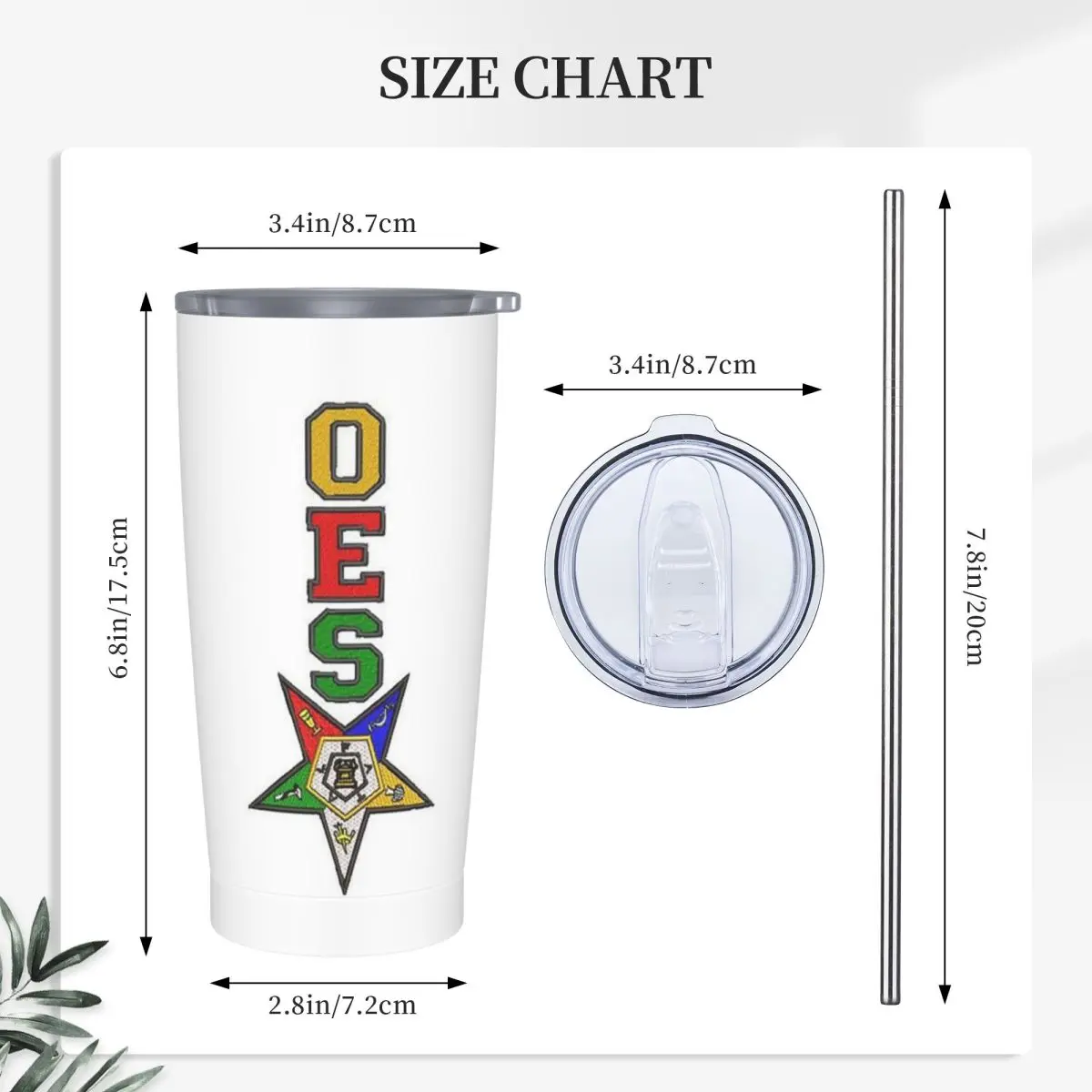 Order Of The Eastern Star Logo OES Stainless Steel Tumbler Vacuum Insulated Mug Thermal Cold Bottle Straws With Lid 20oz